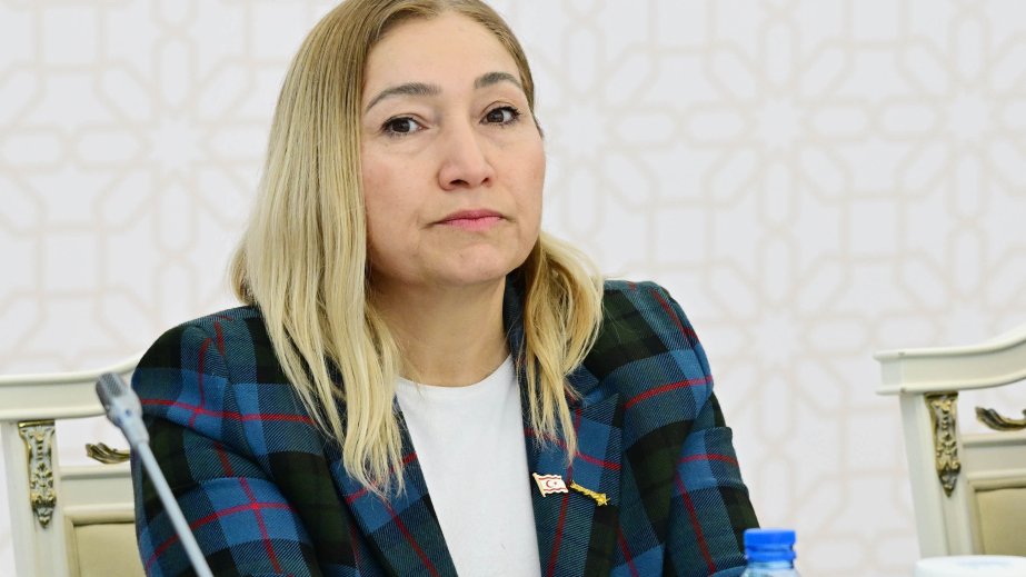 TÜRKPA hədəflərimizi və məqsədlərimizi bir araya gətirən unikal platformadır - Yasemin Öztürk