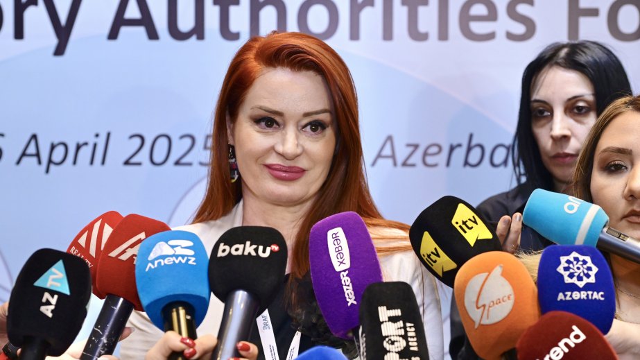Armela Krasniqi: Böyük platformalarda uşaqların müdafiəsinin tənzimlənməsinə təcili ehtiyac var