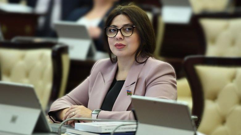 TÜRKPA üzvləri arasında müdafiə və təhlükəsizlik strategiyasının hazırlanması təklif edilib