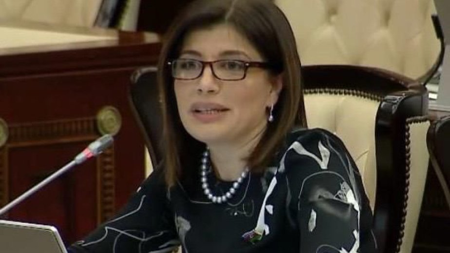 Azərbaycan Türk Dövlətləri Təşkilatında olduqca mühüm və strateji rola malikdir-ŞƏRH