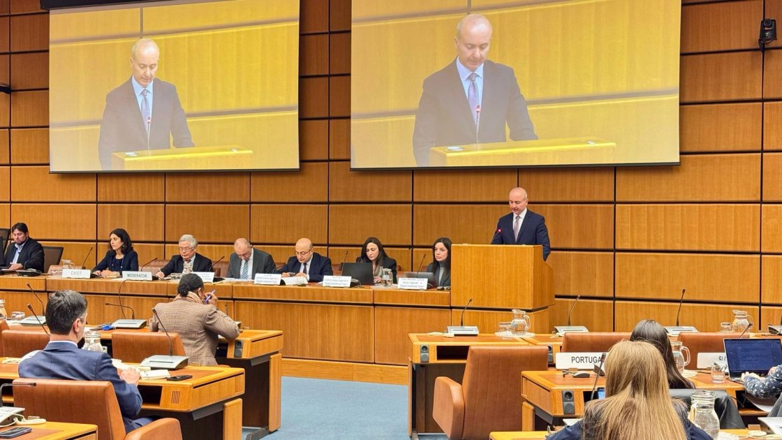 Vyanada COP29-un energetika təşəbbüsləri müzakirə olunub