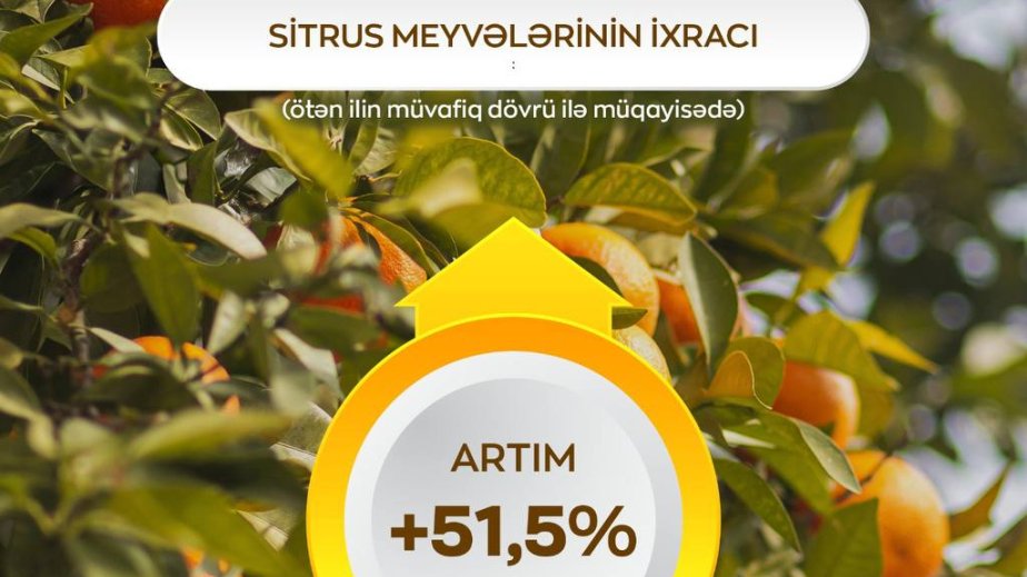 Sitrus meyvələrinin ixracında 51,5 faiz artım qeydə alınıb