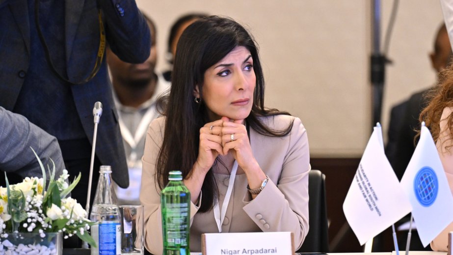 Nigar Arpadarai: Azərbaycan COP29 çərçivəsində ədalətli mövqeyini nümayiş etdirib