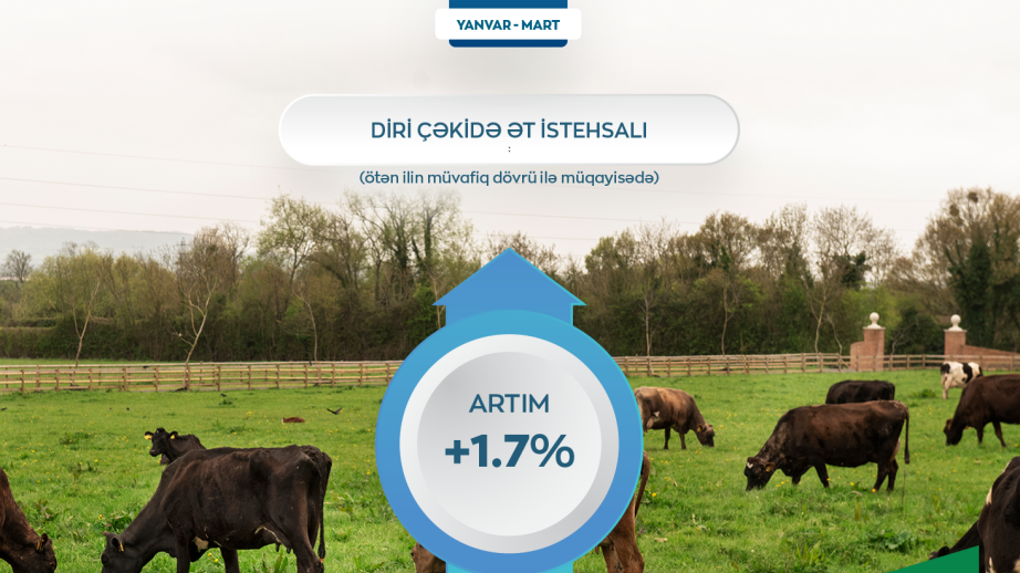 Azərbaycanda diri çəkidə ət istehsalı artıb