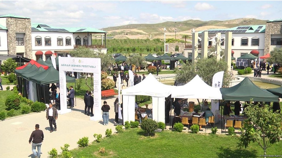 Zəngilanda Aqrar Biznes Festivalı keçirilib