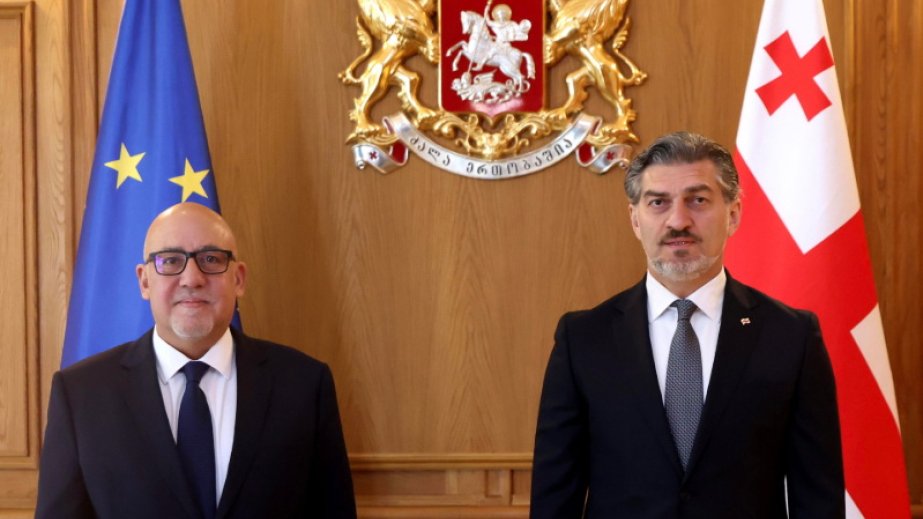 Gürcüstan Prezidenti ilə Türkiyənin səfiri regional təhlükəsizlik məsələlərini müzakirə ediblər