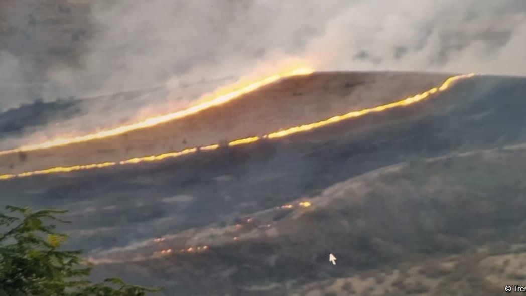 İsrail meşə yanğınlarının söndürülməsində Azərbaycandan kömək istəyib