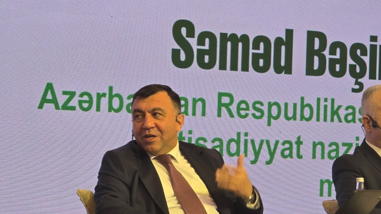 Azərbaycanda kənd təsərrüfatının inkişafı ilə bağlı müvafiq məqsədli fondlar yaradıla bilər - Nazir müavini