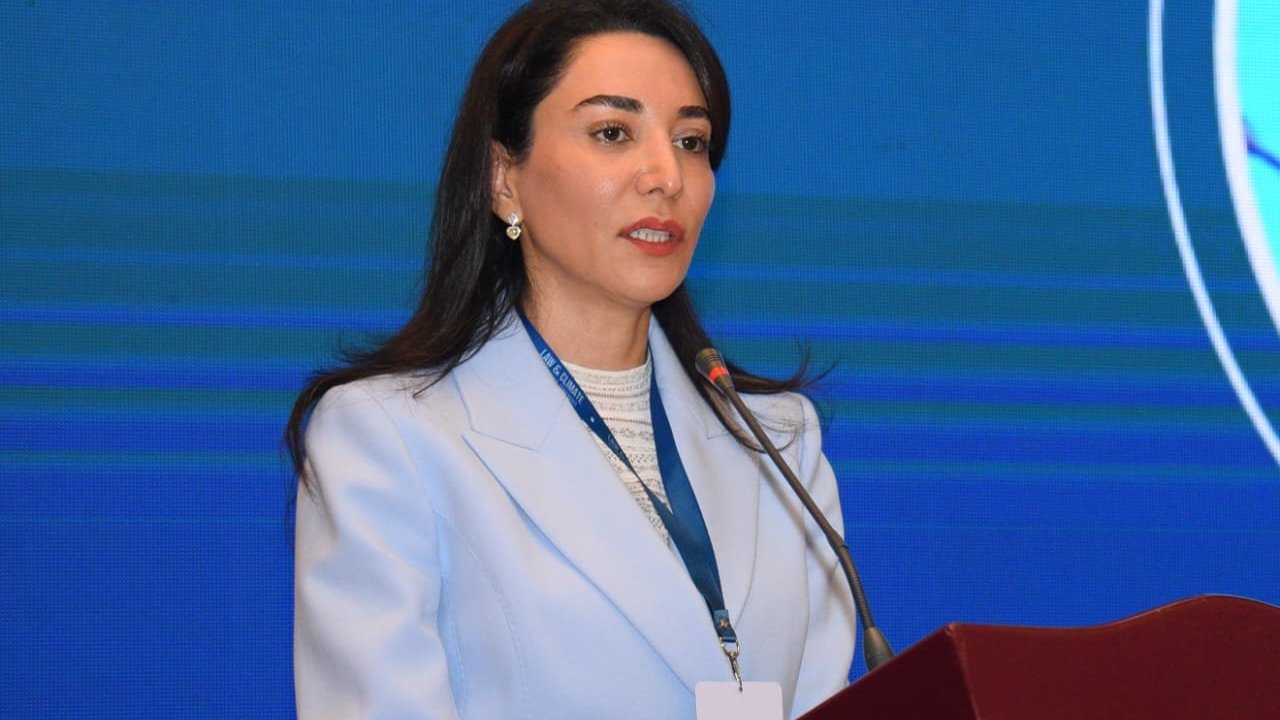 Ermənistan qətlə yetirilmiş şəxslərin basdırıldığı yerlər barədə dəqiq məlumatları təqdim etməlidir - Ombudsman