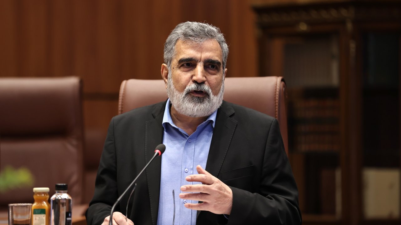 Iran's nuclear sector holds great potential - official