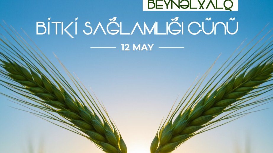 Mayın 12-si Beynəlxalq Bitki Sağlamlığı Günüdür
