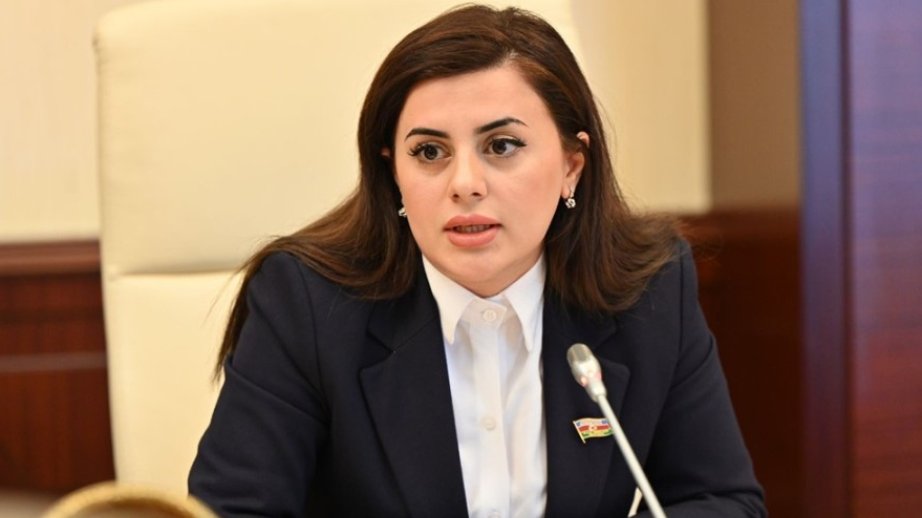 Ermənistanın mədən sənayesi bütün Cənubi Qafqaz regionu üçün təhlükə mənbəyidir ŞƏRH
