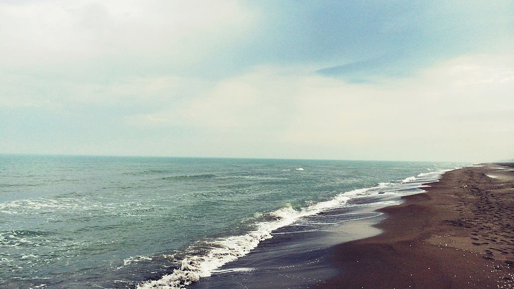 Dəniz geri çəkilir - Xəzər ekoloji fəlakətlə üz-üzədir?