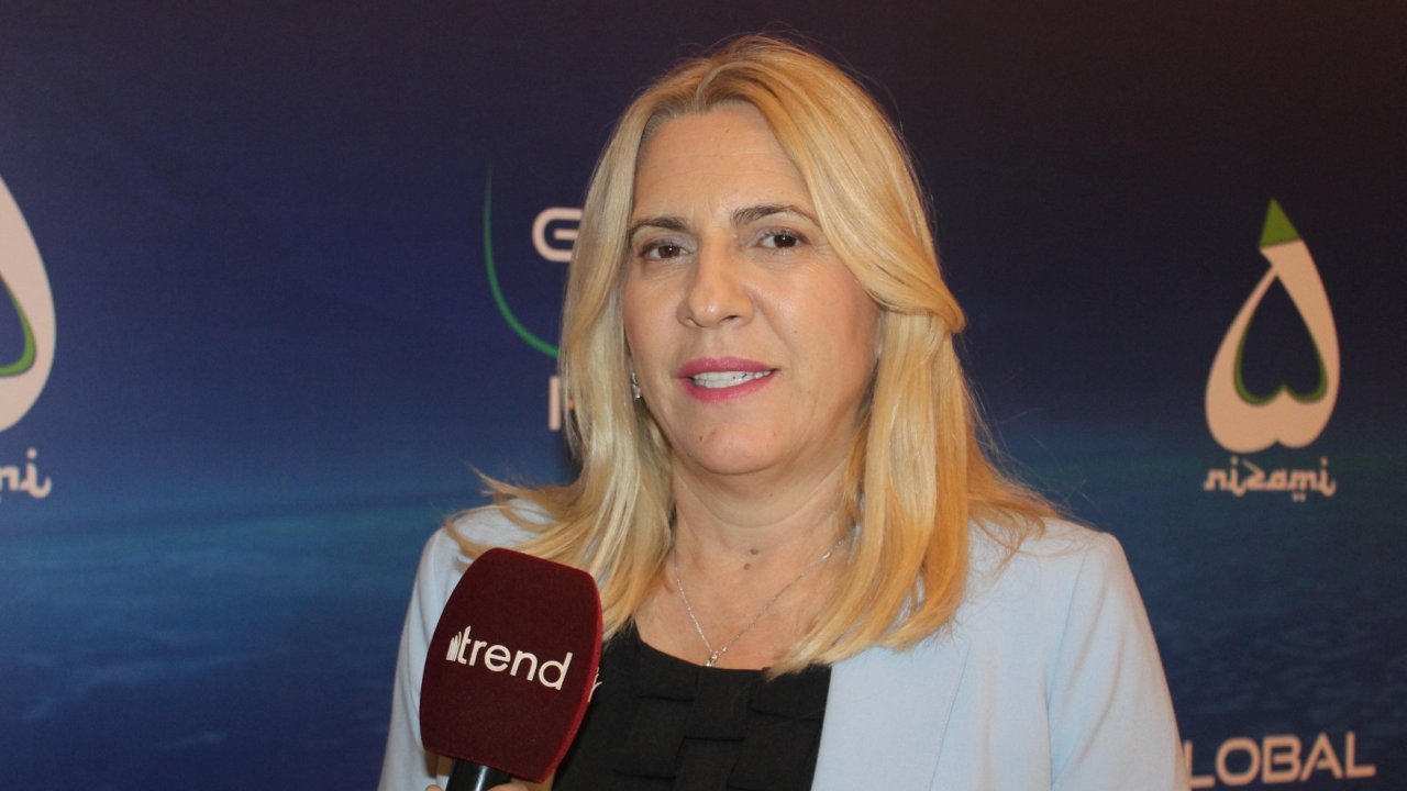 Energy key to Bosnia and Herzegovina - Azerbaijan investment strategy, says Željka Cvijanović (Exclusive)
