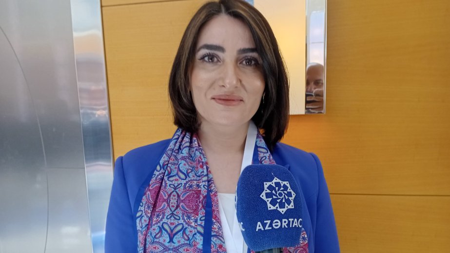 Türkiyəli ekspert: Dünya ictimaiyyəti Qərbi Azərbaycan haqqında həqiqətləri bilməlidir