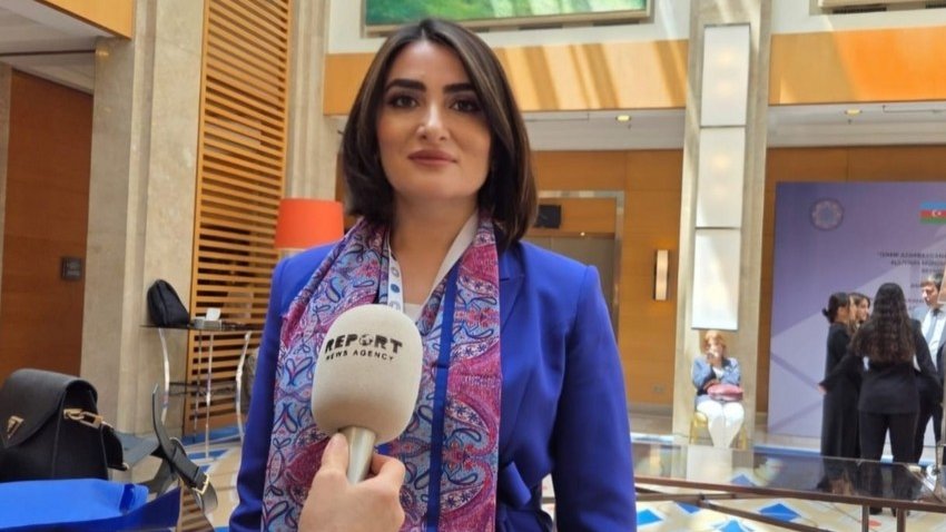 Türkiyəli alim: Erməni diasporu qurduğu terror təşkilatını dünyaya dinc qurum kimi sırıyır