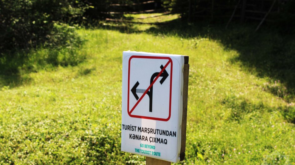 Meşədə azmamaq üçün diqqət edilməli məqamlar - ARAŞDIRMA