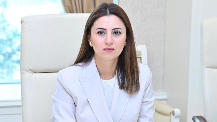 TDT-nin Budapeştdəki qeyri-rəsmi sammiti qarşılıqlı əməkdaşlığın genişlənməsinə töhfə verəcək ŞƏRH