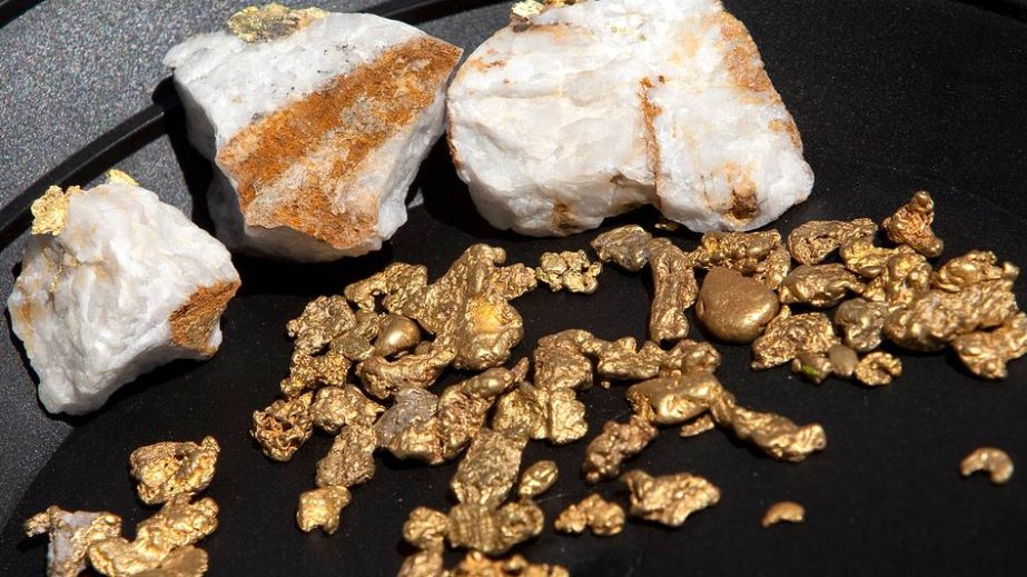 'It's like trying to grow a tree in an oven': Gold mining is sucking Amazon rainforest dry