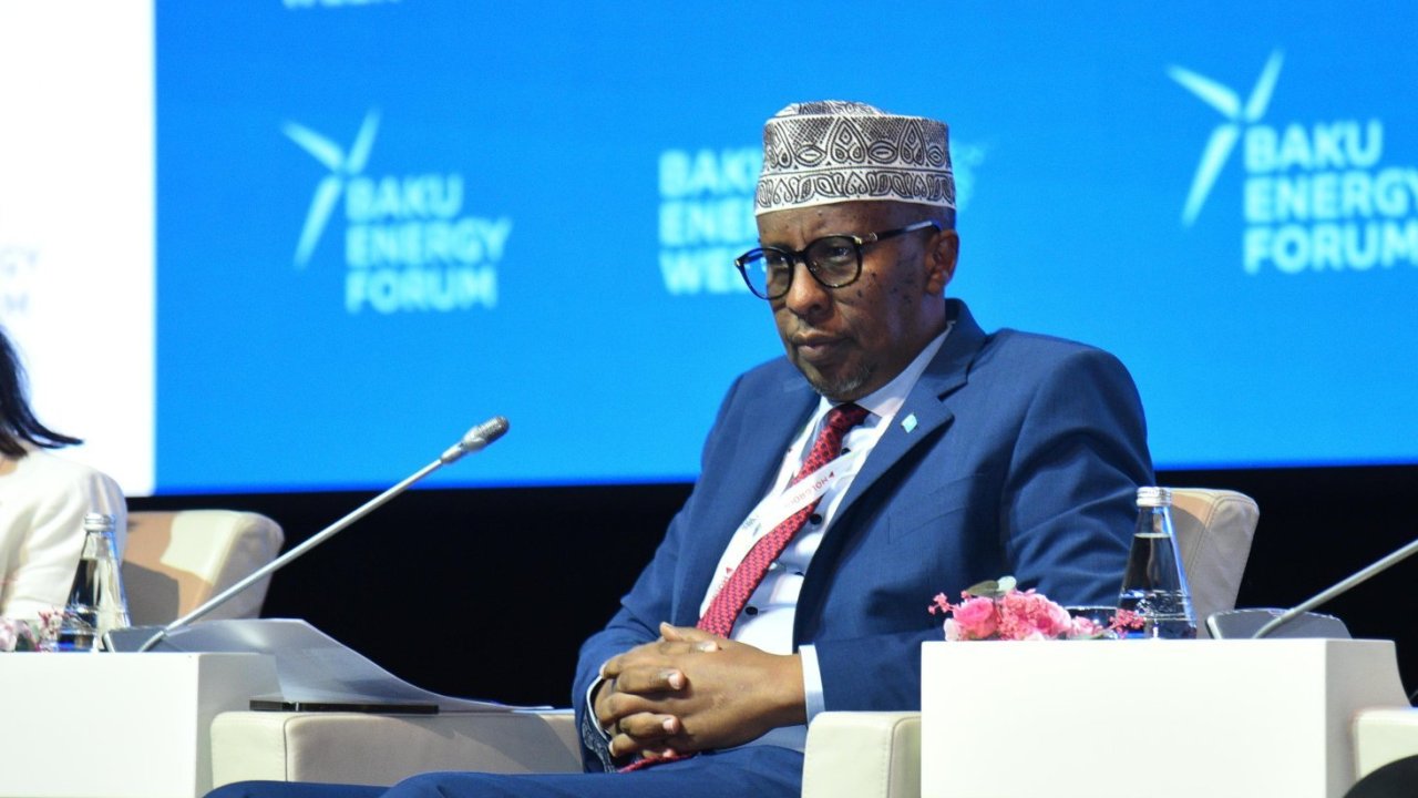 Somali "yaşıl" enerji sahəsində Azərbaycanla əməkdaşlığı genişləndirmək niyyətindədir - Nazir