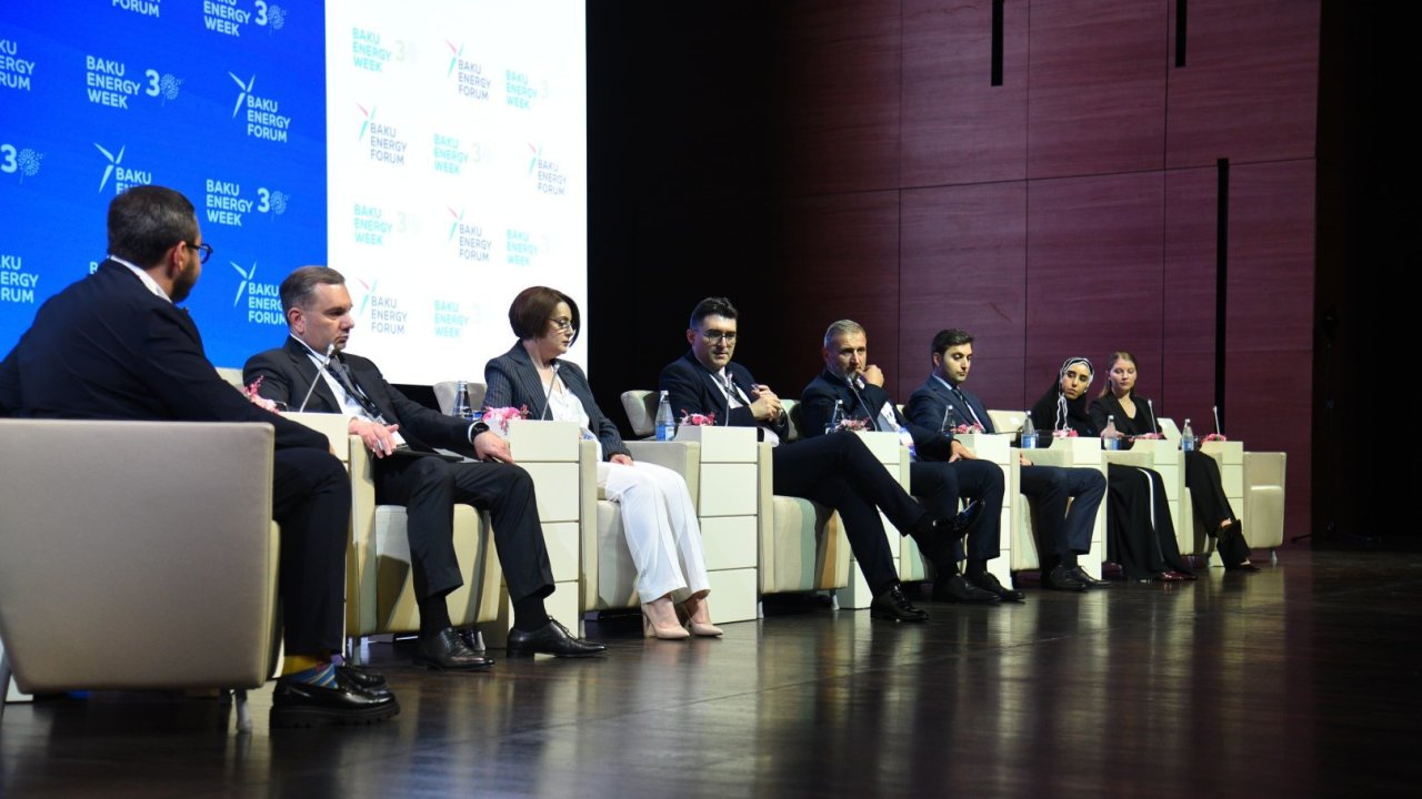 BCG Azərbaycan və Türkiyə arasında interkonnektor layihəsinin texniki-iqtisadi əsaslandırılmasını başa çatdırıb