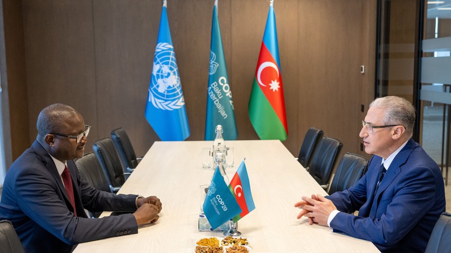 COP29 rəhbərliyi Qvineya-Bisaunun ətraf mühit naziri ilə görüşüb