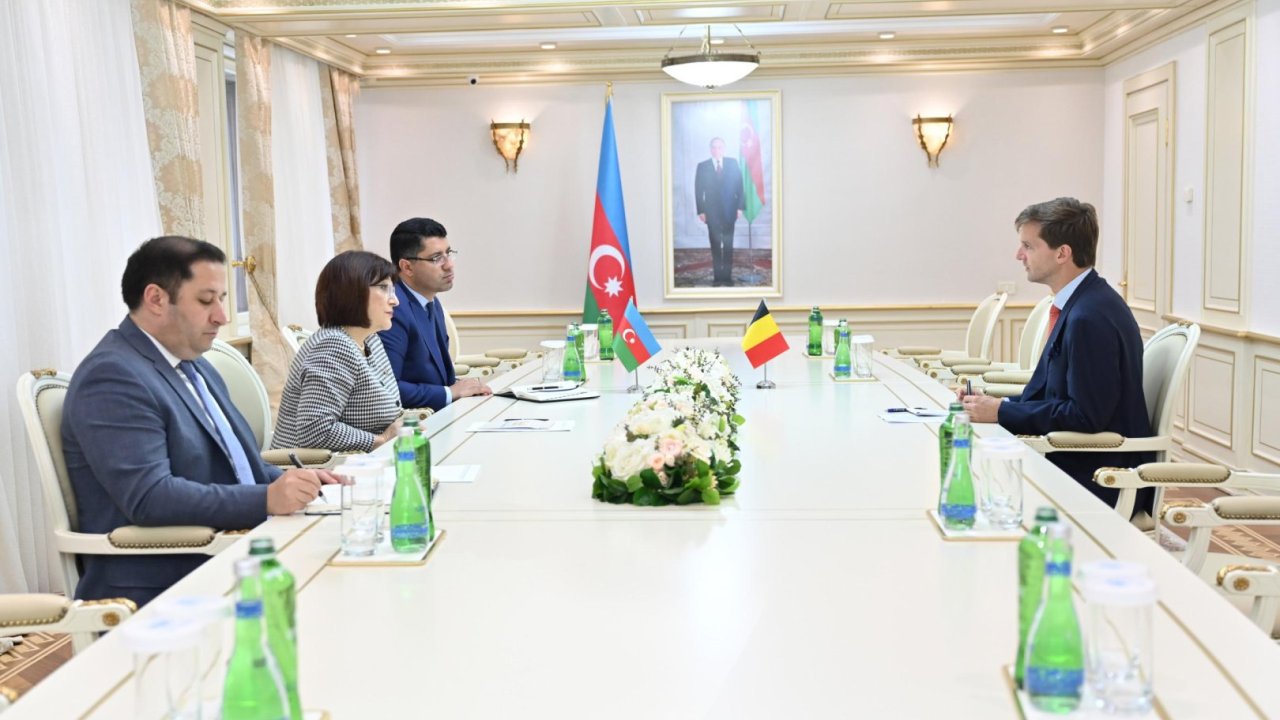 Azərbaycan və Belçika arasında iqtisadi, nəqliyyat, dənizçilik sahəsində əməkdaşlığın inkişafı üçün yaxşı imkanlar var – Səfir