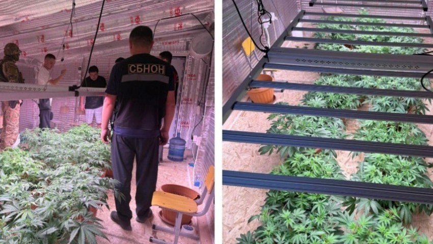 Bu ölkədə uşaq bağçası kimi fəaliyyət göstərən narkolaboratoriya aşkarlandı