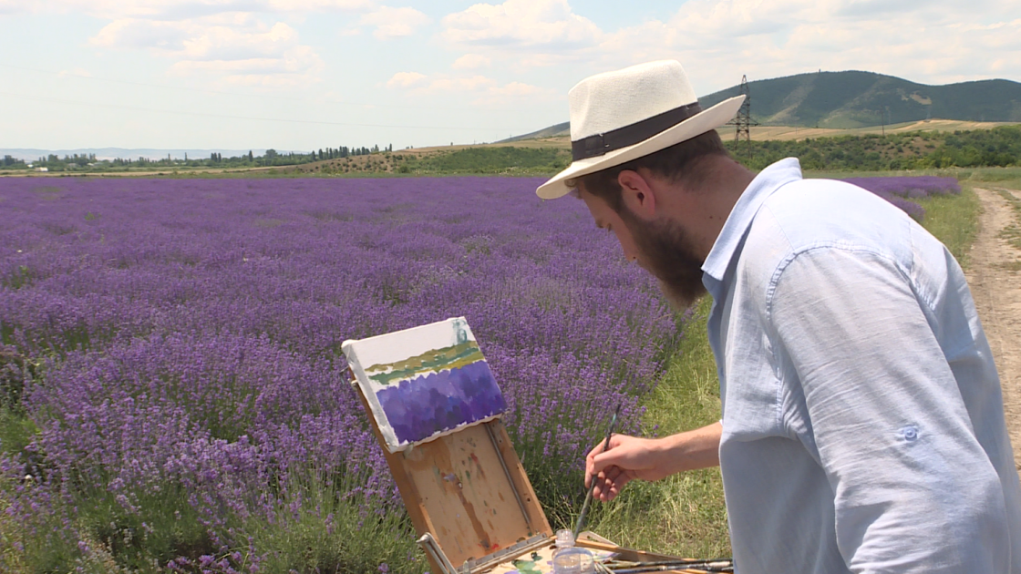 Qəbələnin lavanda tarlası turizm məkanına çevrilir