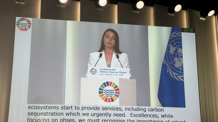 Leyla Abdullayeva: Azərbaycan dəniz ekosistemlərinin qorunması istiqamətində mühüm addımlar atır