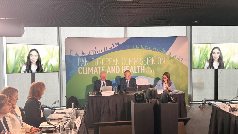 Leyla Əliyeva ÜST-nin yüksək səviyyəli tədbirində videokonfrans formatında iştirak edib