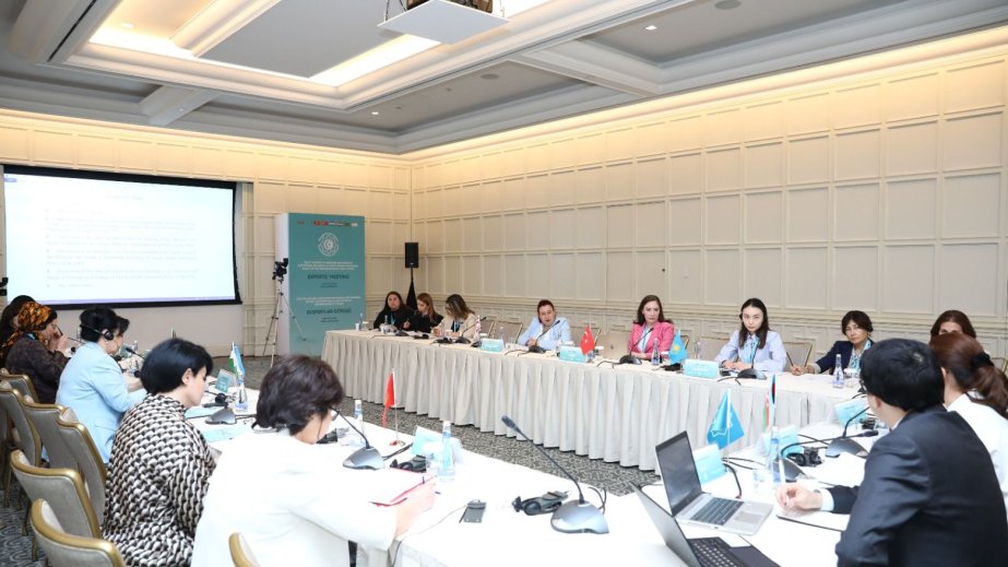 Baku hosts meeting of experts from OTS Member and Observer States