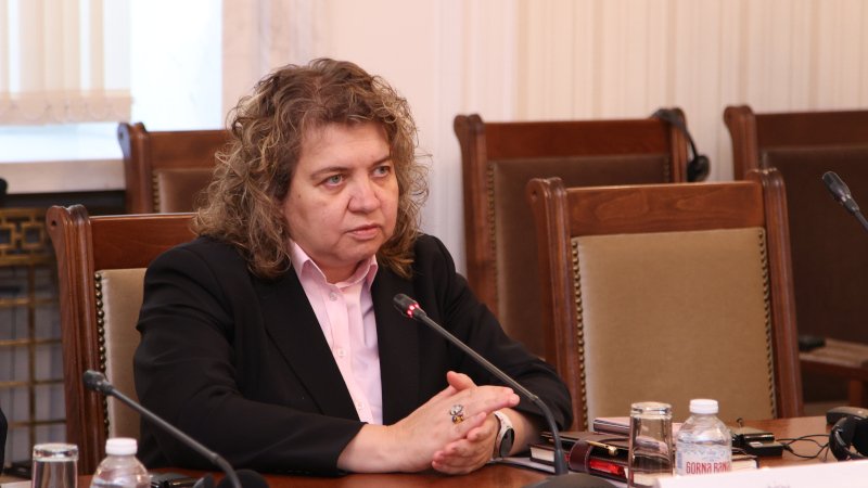 Bulgaria, Azerbaijan can boost economic cooperation at legislative level through PABSEC - Speaker (Exclusive Interview)