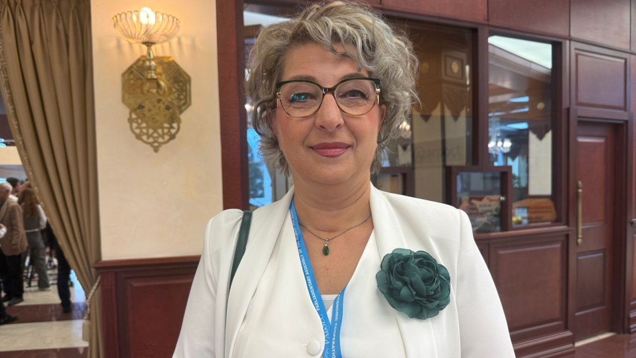 Şimali Makedoniya "yaşıl" enerji sahəsində Azərbaycanla əməkdaşlıq üçün böyük potensialın olduğunu görür - Deputat