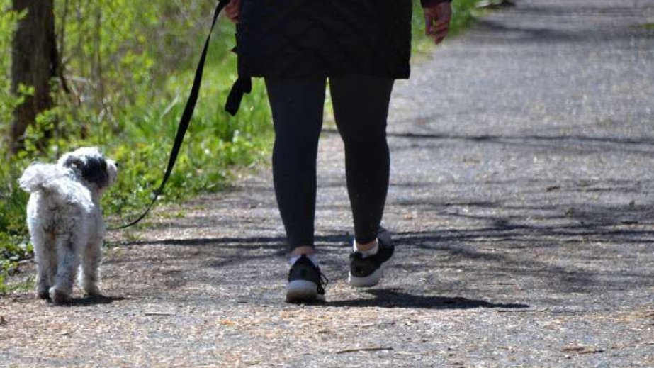 Uzun gəzintilər xroniki belağrısı riskini azalda bilər -   TƏDQİQAT