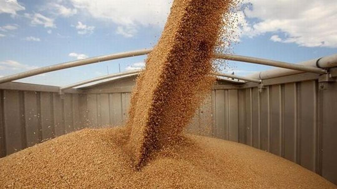 Iran’s food markets struggle to stay stable - can government measures prevent crisis?