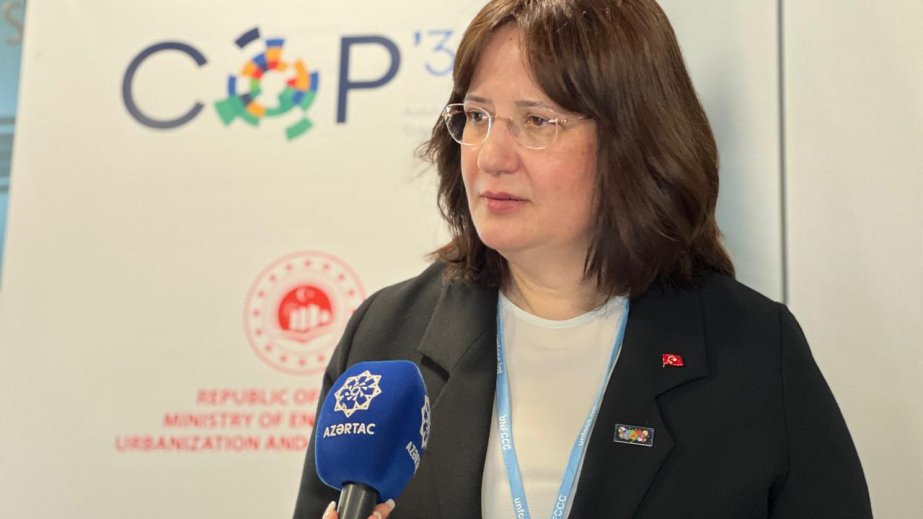 Nazir müavini: Türkiyə COP31-də Belemdən sonra qəbul olunacaq qərarları daha da irəli aparmaq gücünə malikdir
