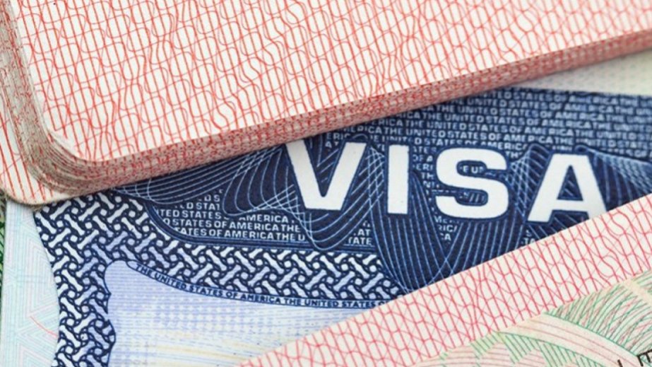 Hansısa bir şirkət viza ilə bağlı qarantiya verirsə, bu, cəfəngiytdır - AÇIQLAMA