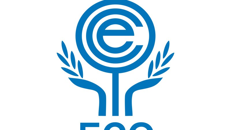 Central Asia gains ground in ECO - transport and energy cooperation take center stage