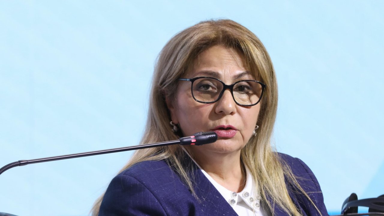 İşğaldan azad olmuş 8 şəhərin baş planı hazırlanıb - Gülşən Rzayeva