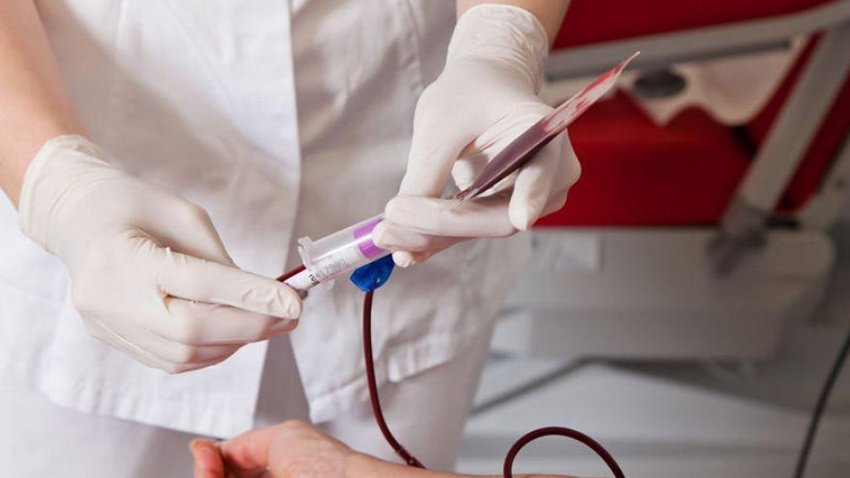 Saat 10:00-a kimi 162,9 litr qan tədarük olunub - Nazirlik