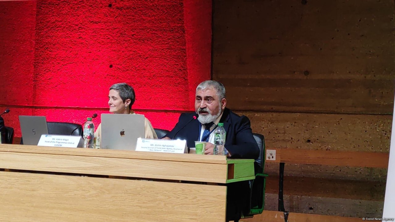 Azerbaijani journalists fell victim to Armenian aggression in Karabakh - Baku Network chief at UNESCO