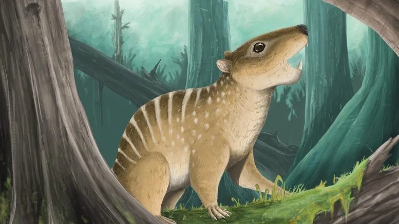 İngiltere’de bir öğrenci 145 milyon yıllık fosil buldu