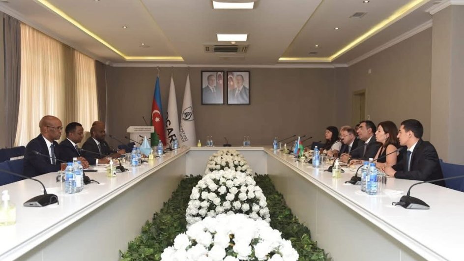 SOCAR Somalidən olan tələbələr üçün 3 təqaüd yeri ayırıb