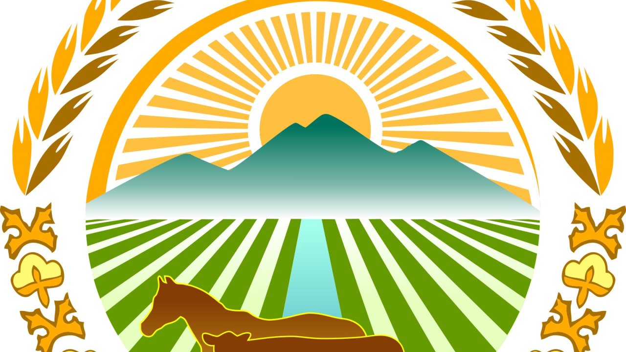 Kyrgyzstan nears completion of smart greenhouses to boost vegetable seed production