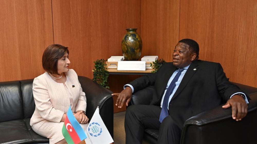 Sahibə Qafarova Parlamentlərarası İttifaqın Baş katibi Martin Çunqonq ilə görüşüb