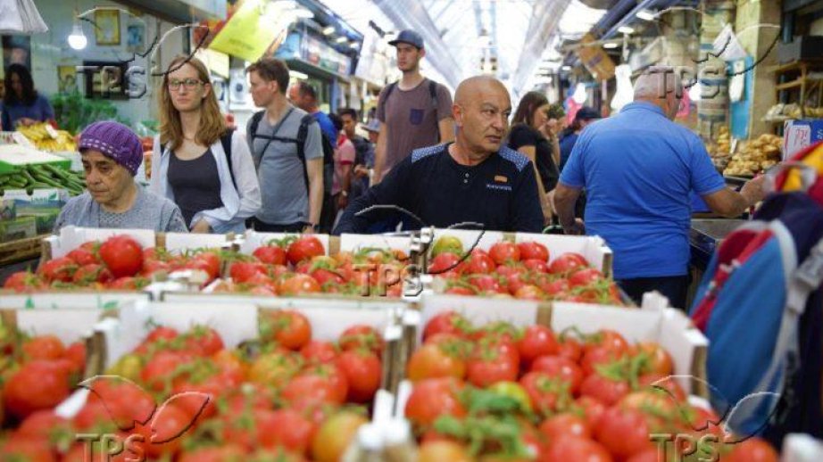 New 3D imaging method tracks plant growth without expensive sensors