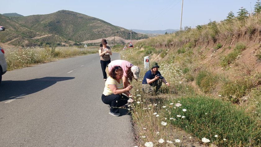Ağdərə rayonunda botaniki tədqiqatlar aparılıb