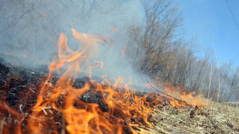 Laçında dağlıq ərazidə baş verən yanğın söndürülüb