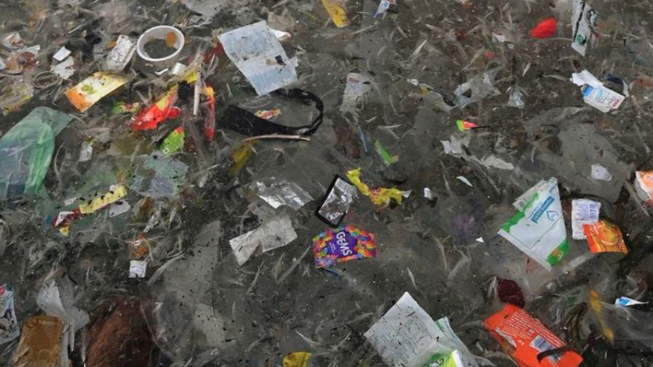 Trade measures critical to ending plastic pollution